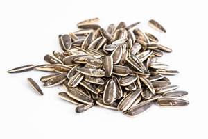 Sunflower Seeds isolated above white background