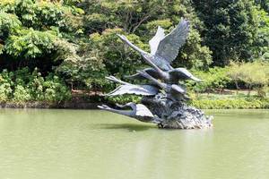 Swan lake Singapore
