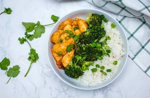 Sweet and Sour Chicken with Rice and Broccoli (Flip 2019)