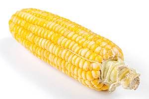 Sweet corn on a white background (Flip 2020)