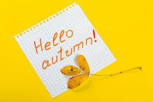 Tag with the words Hello Autumn and a colorful autumn leaf on yellow background