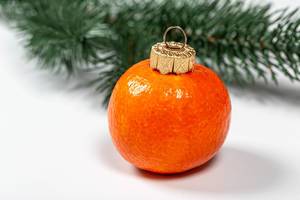 Tangerine fruit on white background with christmas tree branches