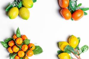 Tangerines and lemons with leaves on a white background with free space