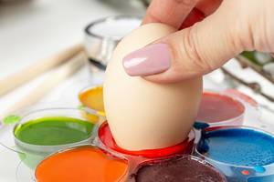 The concept of preparing for the Easter holiday- egg coloring (Flip 2020)