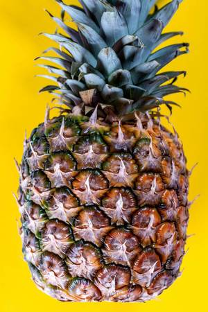 the fruit of the pineapple