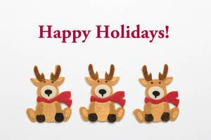 Three Decoration Reindeers with Saying Happy Holidays on White Background