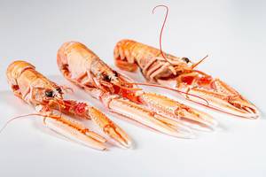 Three whole boiled lobsters on a white background (Flip 2020)