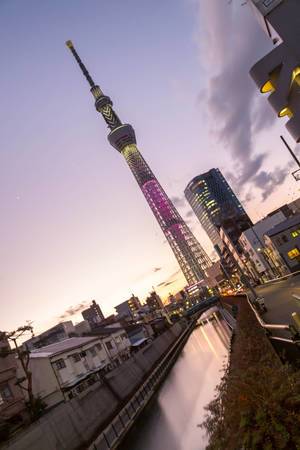 Tokyo Skytree at Night