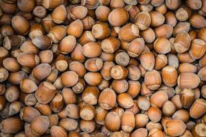 Top View Background Photo of many Hazelnuts
