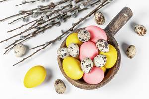 Top view, colored eggs with willow branches on a white background
