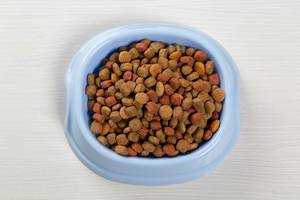 Top view dry cat food in a bowl