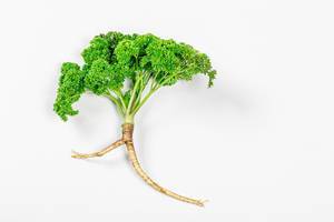 Top view fresh parsley with root on white background (Flip 2019)