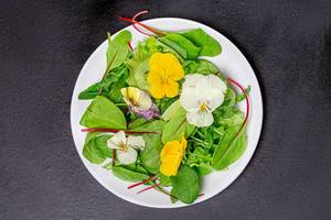 Top view light vegetarian salad with leaves and flowers on black background (Flip 2019)