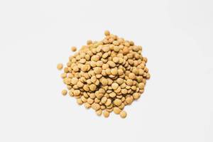 Top view of brown lentils on white background