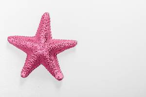 Top view of purple starfish on a white background (Flip 2019)