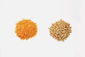 Top view of red and brown lentils on white background