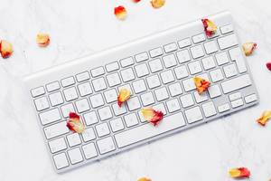 Top view of white keyboard with rose petals on marbled background