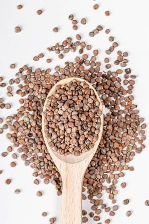 Top view, radish seeds in a wooden spoon on white background