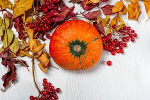 Top view ripe orange pumpkin with viburnum berries and dry leaves (Flip 2019)