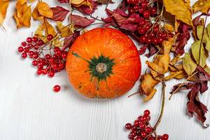 Top view ripe orange pumpkin with viburnum berries and dry leaves