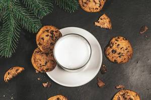 Traditional Christmas homemade cookies and glass of milk with Christmas tree branches (Flip 2019)