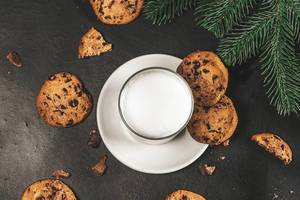 Traditional Christmas homemade cookies and glass of milk with Christmas tree branches