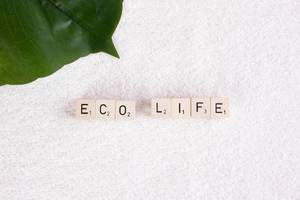 Tropical leaf with eco life text on towel