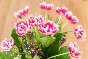 Tulpen und Wiesenblumen