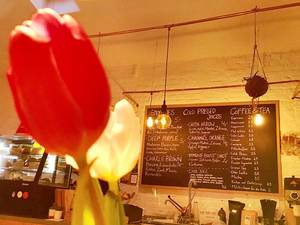 Tulpen vor Speisekarte in Kaffeehaus