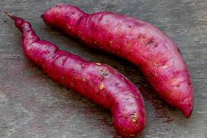 Two fresh ripe sweet potato root vegetables (Flip 2019)