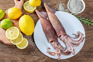 Two fresh squid on a plate with lemon, lime and rosemary