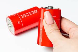 Type D salt batteries on a white background (Flip 2020)