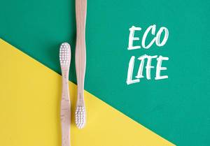 Umweltbewusster Lebensstil: Holzzahnbürsten auf gelben und grünem Untergrund, neben dem Text "Eco Life" / Öko-Leben