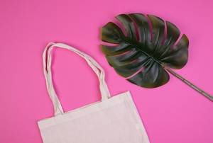 Umweltfreundlich einkaufen – weiße Tasche aus Baumwolle neben Pflanze vor pinkem Hintergrund