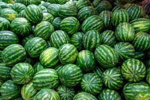 Unzählige gestreifte ganze Wassermelonen zum Verkauf an Marktstand