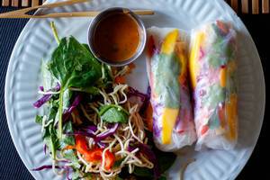 Vegetarian Spring Roll with salad on the side