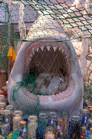Verschmutzung der Ozeane und Aussterben der Haie - Hai umringt von Fischernetzen und Müll