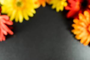 Verschwommene Blumen in gelb, rot und orange, auf schwarzem Hintergrund