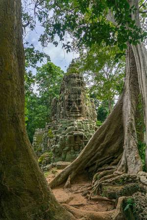 Victory Gate zwischen zwei uralten Bäumen in Siem Reap