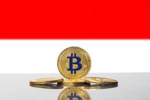 Vier goldene Münzen der Kryptowährung Bitcoin mit der Flagge von Polen im Hintergrund