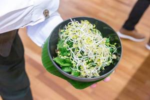 Waiter serves the "Vegan bowl" with sprouts, at Barcamp OMWest 2019 by AXA, in Cologne, Germany