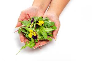Weibliche Hand hält Salatblätter, Arugula und Blumen