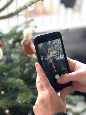 Weihnachtsbilder für Social Media Postings: geschmückten Weihnachtsbaum mit dem Smartphone fotografieren