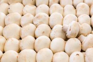 Weiße Champignons / White Mushrooms