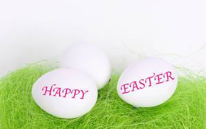 Weiße Ostereier mit Text Happy Easter auf grünem Gras mit weißem Hintergrund