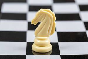 Weißes Pferd Schachfigur auf dem Schachbrett Hintergrund