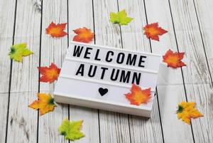Welcome autumn text in lightbox