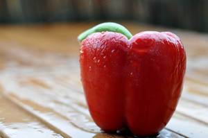 Wet red bell pepper