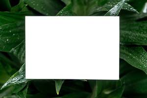 White blank sheet of paper with a frame of green leaves (Flip 2020)