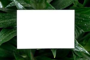 White blank sheet of paper with a frame of green leaves